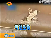 萬能的朋友圈，如果你能解釋通這組圖；凈水設(shè)備就可以不要了